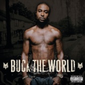 Buck the World artwork