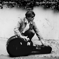 Morning Is Mended-Steve Gunn
