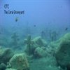 The Coral Graveyard - EP