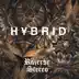 Hybrid song reviews