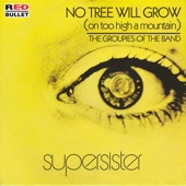 Supersister - The Groupies of the Band