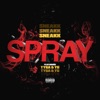 Spray (feat. Tyga & YG) - Single