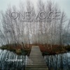 One Voice - Conspirare Christmas 2012 (Recorded Live at the Carillon)