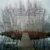 One Voice - Conspirare Christmas 2012 (Recorded Live at the Carillon) album cover
