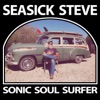 Sonic Soul Surfer (Deluxe)