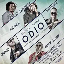 Odio (Remix) - Single [feat. Ñengo Flow] - Single - Baby Rasta & Gringo