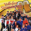 Volksfest Stimmung - Various Artists
