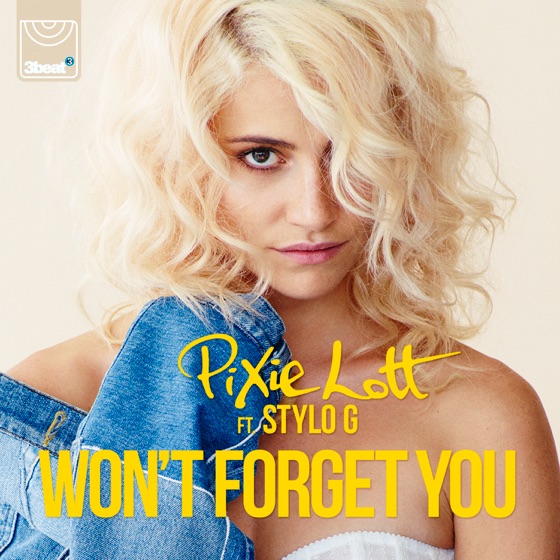 Cover artwork for Won't Forget You (feat. Stylo G)