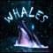 Whales (feat. Ruggez) - Jack Sani lyrics