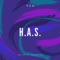 H.A.S. - P.D.M. lyrics