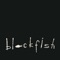 Check It Out - Blackfish lyrics