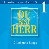 Du bist Herr - Lieder aus Band 5, Vol. 1 artwork