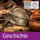 Niedergang und Fall des Kommunismus in Ostmitteleuropa