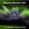 Usa Compilation, Vol. 4