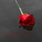 Red Roses - J-Rich lyrics
