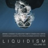 Liquidism, Vol. 3, 2018