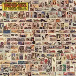Rough Mix - Ronnie Lane