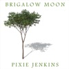 Brigalow Moon