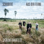 Schubert: Aus der Ferne artwork