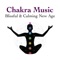 Reiki Healing Music Ensemble - Guided Meditation & Chakra Healing lyrics
