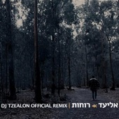 רוחות (Tzealon Remix) artwork