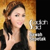 Sawah Sepetak - Single