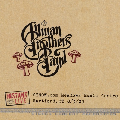 Hartford, CT 8-3-03 - The Allman Brothers Band