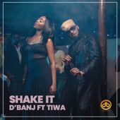 D'Banj - Shake It (feat. Tiwa Savage)