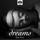 Dreams - Sleep Music, Yoga Meditation Music and Nature Sounds, Distant Moonlight, Rain, Ocean Waves artwork