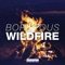 Wildfire - Borgeous lyrics
