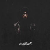 Zmrdlife 3 artwork