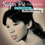 Sugar Pie DeSanto - Soulful Dress