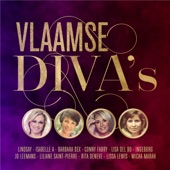 Vlaamse Diva's artwork