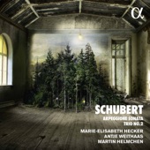 Schubert: Piano Trio No. 2 in E-Flat Major, D. 929 & Arpeggione Sonata in A Minor, D. 821 artwork