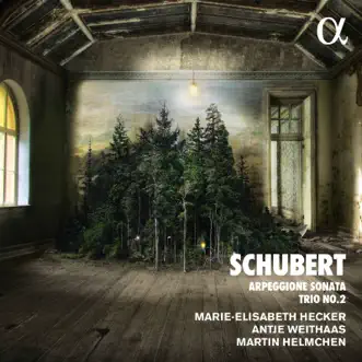 Schubert: Piano Trio No. 2 in E-Flat Major, D. 929 & Arpeggione Sonata in A Minor, D. 821 by Marie-Elisabeth Hecker, Martin Helmchen & Antje Weithaas album reviews, ratings, credits