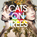 Sirens Call - Cats on Trees