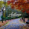 Autumn - Single