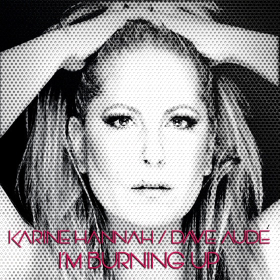Cover artwork for I'm Burning Up