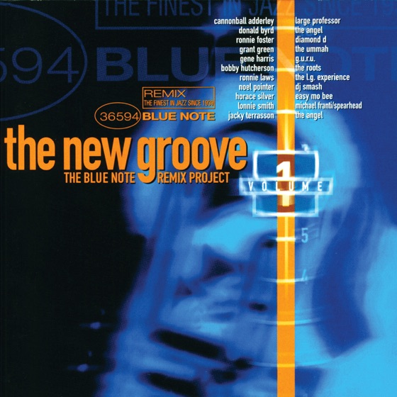 Cover artwork for Down Here On the Ground (feat. Dianne Reeves)