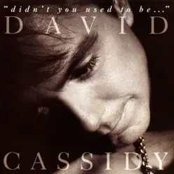 Didn't You Used To Be... - David Cassidy