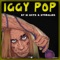 Iggy Pop - Hi Hatz & Hydrolikz lyrics