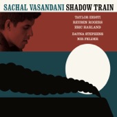 Shadow Train (feat. Eric Harland, Reuben Rogers, Taylor Eigsti, Dayna Stephens & Nir Felder) artwork