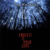 Endless Is Your Love artwork
