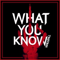 What You Know Single Troyboi Music Music Store diego rispoli