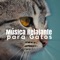 Música Relajante para Gatos 🐱 artwork