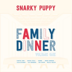 Snarky Puppy - I'm Not the One (feat. Malika Tirolien)