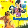 Banphool (Original Motion Picture Soundtrack)