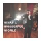 What a Wonderful World - Geoffrey Andrews lyrics