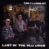 Last of the Old Dogs album lyrics, reviews, download