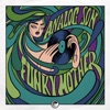 Funky Mother